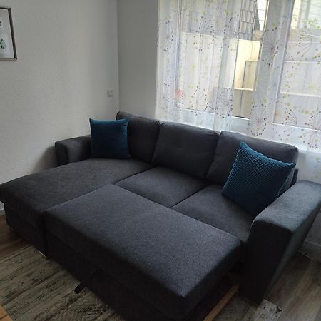 Moderne Neubau Ferienwohnung ヴィースバーデン エクステリア 写真